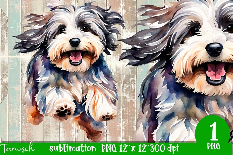 watercolor Havanese dog sublimation PNG