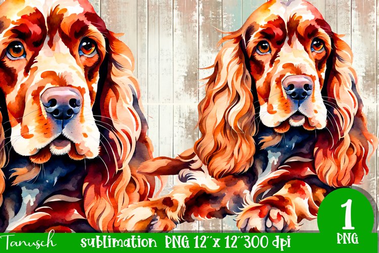 watercolor Cocker Spaniel dog sublimation PNG