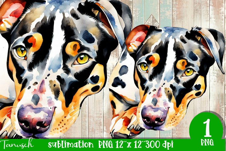 watercolor Catahoula Leopard dog sublimation mastiff PNG