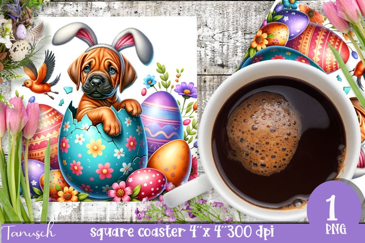 Spring Clipart