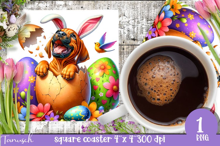 Spring Clipart Image 3
