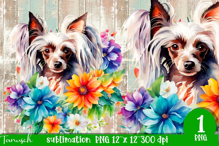 Puppy Clipart Image 16