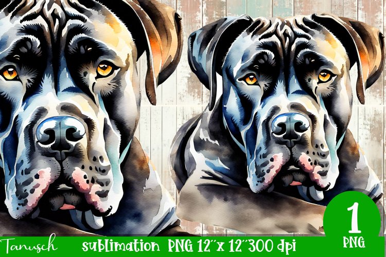 watercolor Cane Corso dog sublimation mastiff PNG