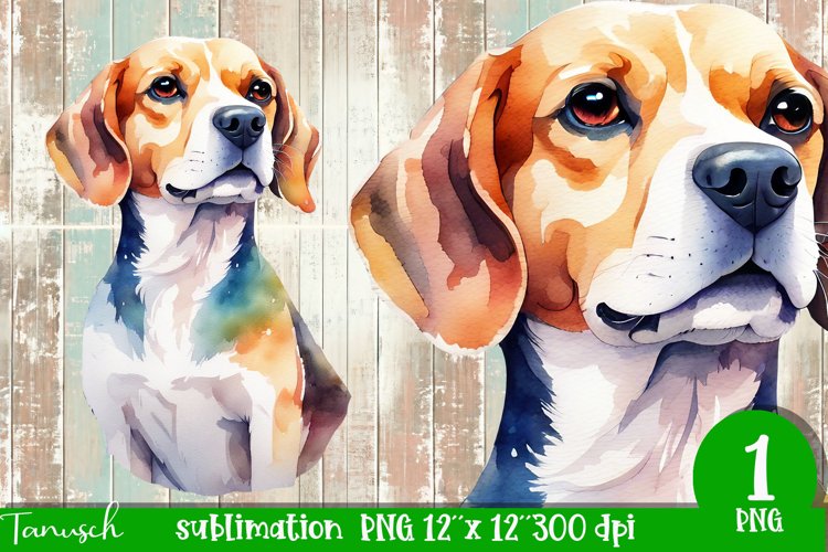 watercolor beagle dog sublimation PNG