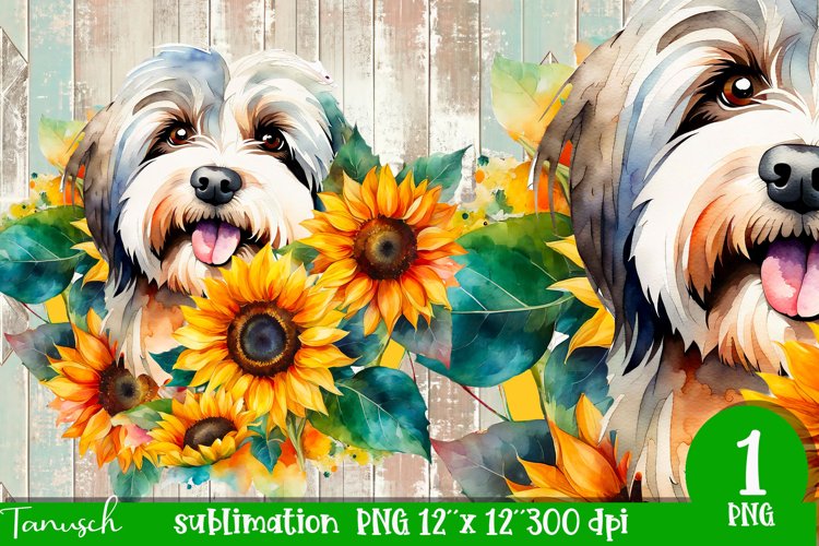 watercolor Havanese dog sublimation PNG