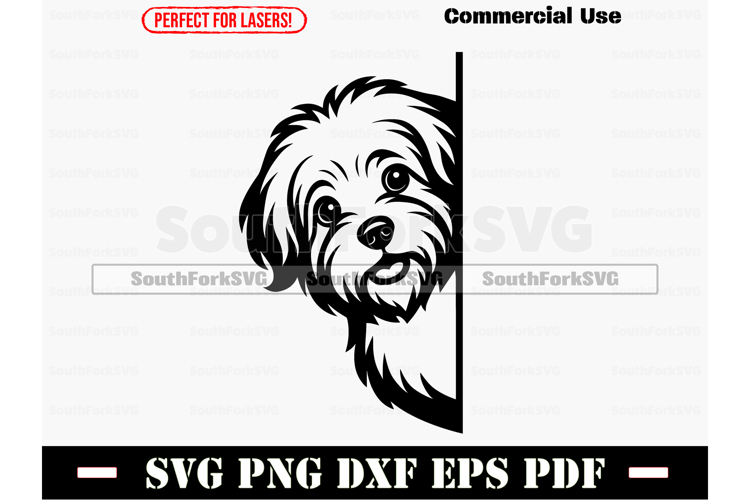 Cat Logo Design Image 14