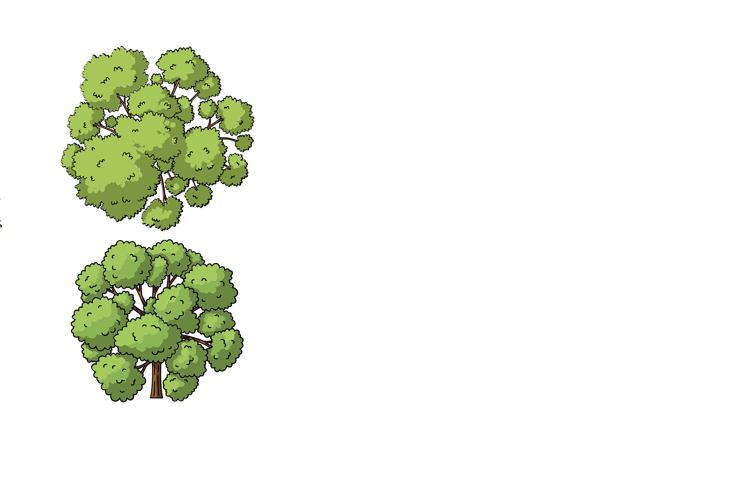 Tree Clipart Image 4