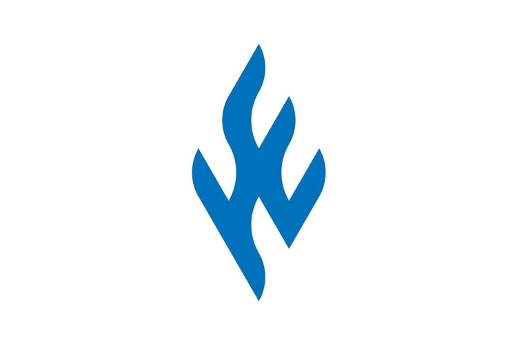 HE logo design