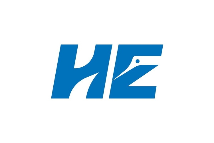 HE logo design