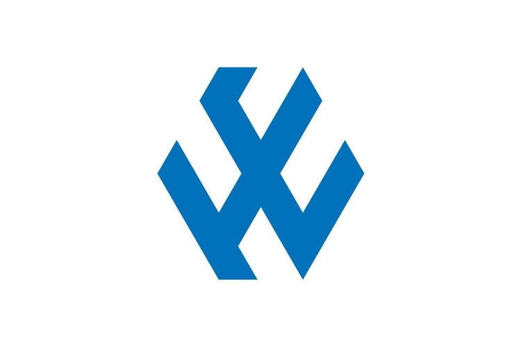 HE logo design