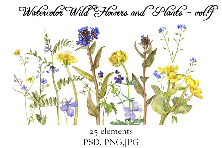 Watercolor Wild Flowers and Plants vol.4 example image 1