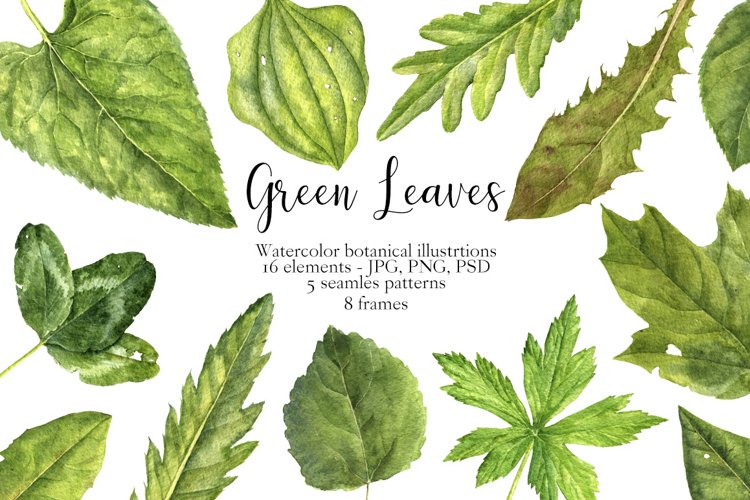 Watercolor Leaves Clipart Image 15