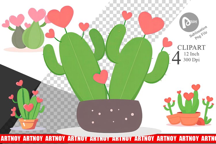 Cactus Png Image 3