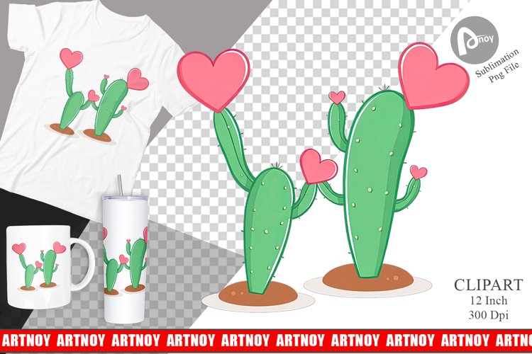 Cactus Png Image 24