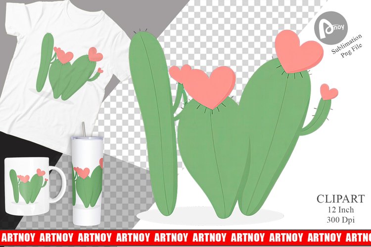 Cactus Png Image 23