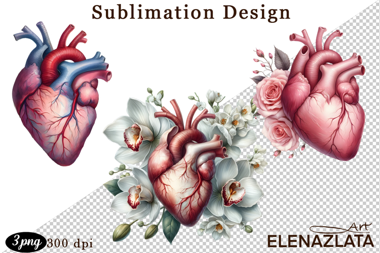 Watercolor Lungs, Brain and Heart