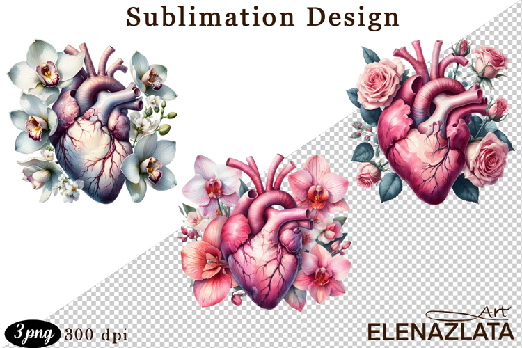 Watercolor Lungs, Brain and Heart