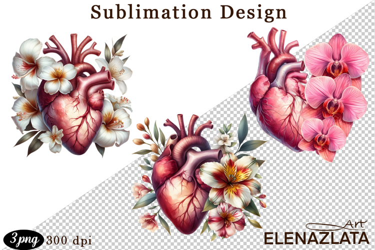 Anatomical Heart Clipart Image 22