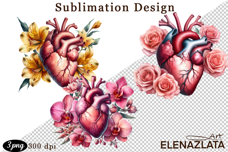 Watercolor Lungs, Brain and Heart