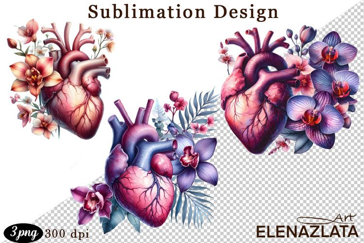 Watercolor Lungs, Brain and Heart