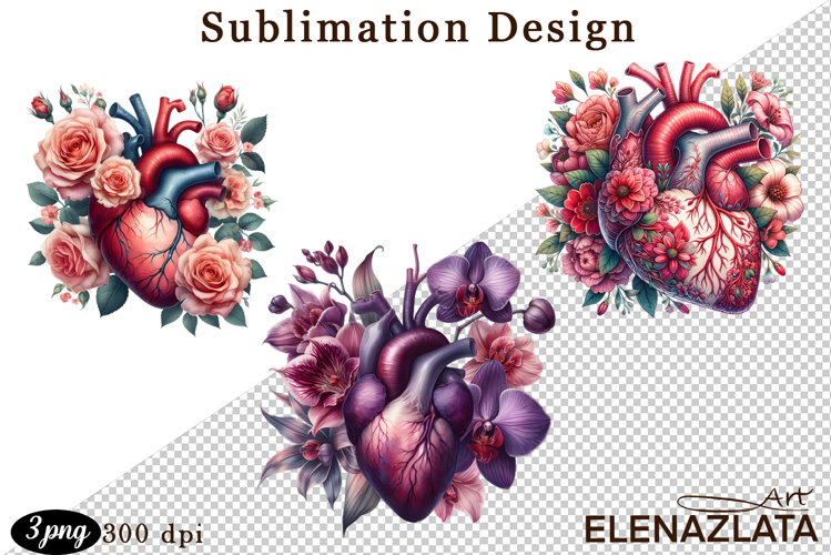 Anatomical Heart Clipart Image 23
