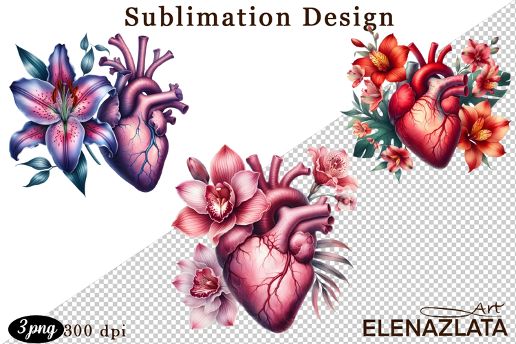 Watercolor Lungs, Brain and Heart