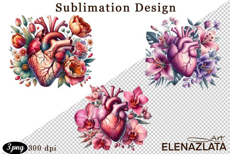 Watercolor Lungs, Brain and Heart
