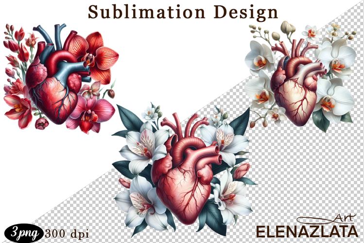 Watercolor Lungs, Brain and Heart