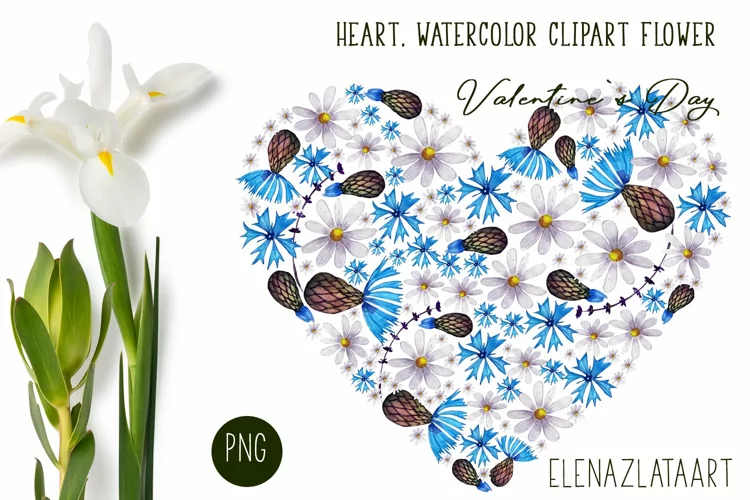 Heart, flower watercolor clipart. Valentines Day