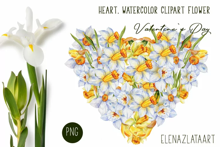 Heart, flower watercolor clipart. Valentines Day