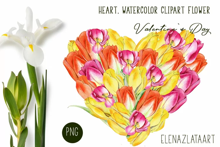 Heart, flower watercolor clipart. Valentines Day