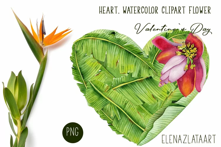 Heart, flower watercolor clipart. Valentines Day