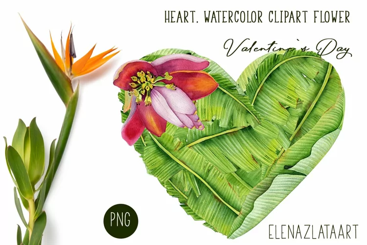 Heart, flower watercolor clipart. Valentines Day