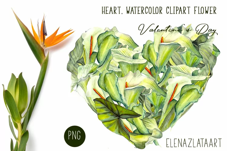 Heart, flower watercolor clipart. Valentines Day