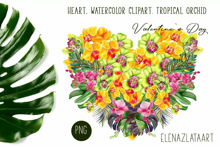 Heart, watercolor clipart. Tropical orchid. Valentine's Day