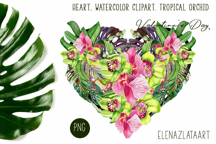 Heart, watercolor clipart. Tropical orchid. Valentine's Day