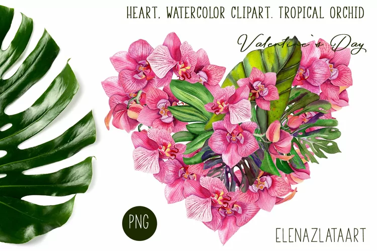 Heart, watercolor clipart. Tropical orchid. Valentine's Day