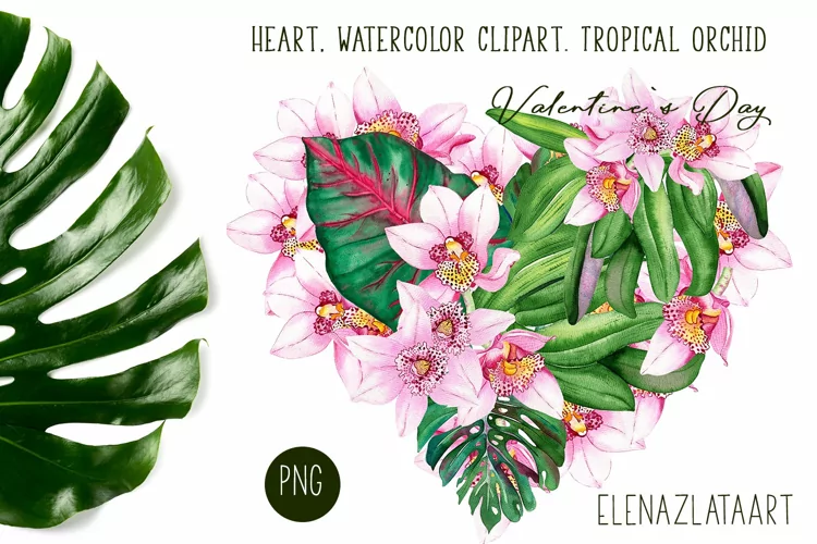 Heart, watercolor clipart. Tropical orchid. Valentine's Day
