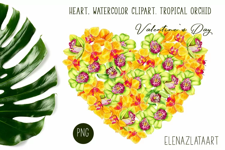 Heart, watercolor clipart. Tropical orchid. Valentine's Day