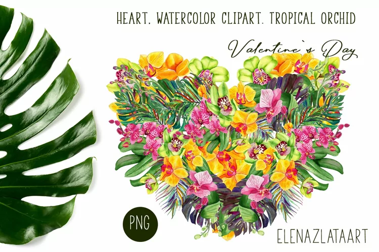 Heart, watercolor clipart. Tropical orchid. Valentine's Day