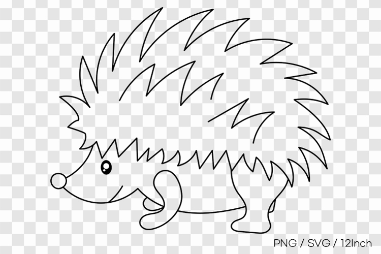 Cute little forest hedgehog spiky back PNG animal clipart
