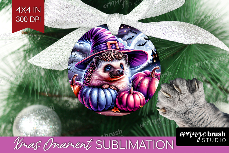 Hedgehog Halloween Ornament PNG Cute Animal PNG Sublimation
