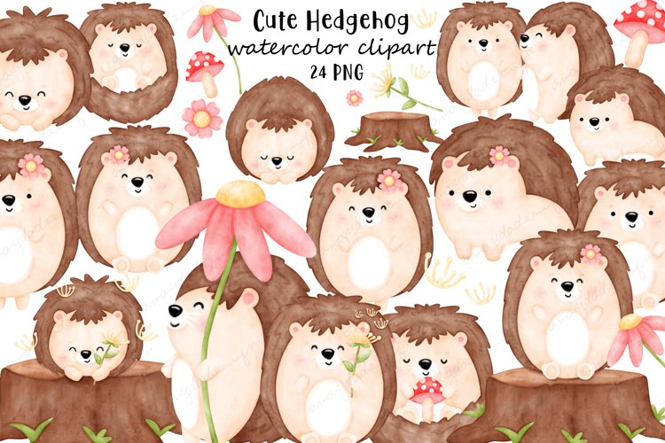 Cute Hedgehog Watercolor Clipart, Animal clipart, Hedgehog example image 1