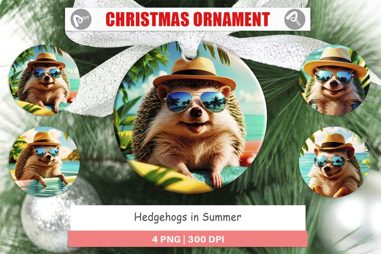 Christmas Ornaments Hedgehogs in Summer