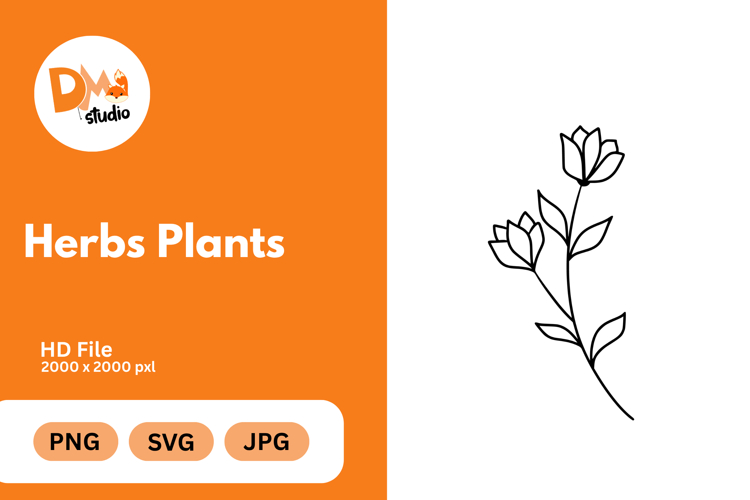Rosemary Illustration Image 15