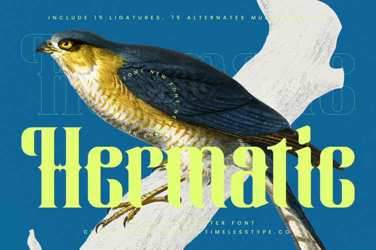 Hermatic - Modern Blackletter Font