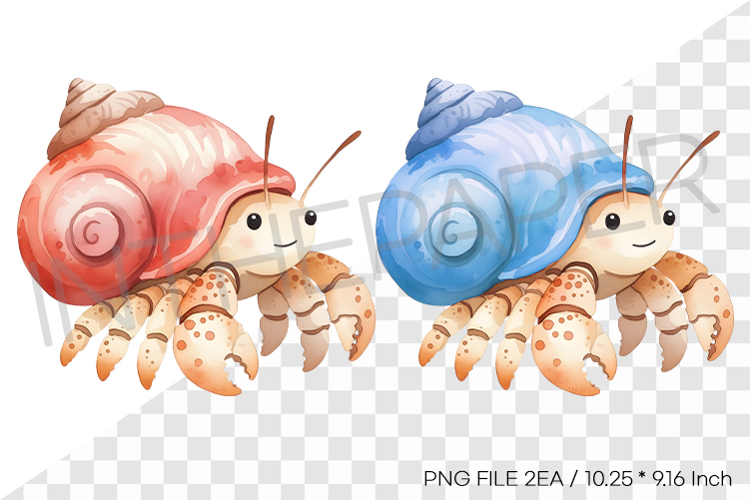 Hermit Crab Clipart Image 11