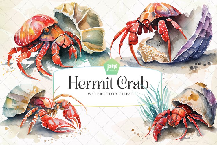 Hermit Crab Watercolor Sublimation Clipart example image 1