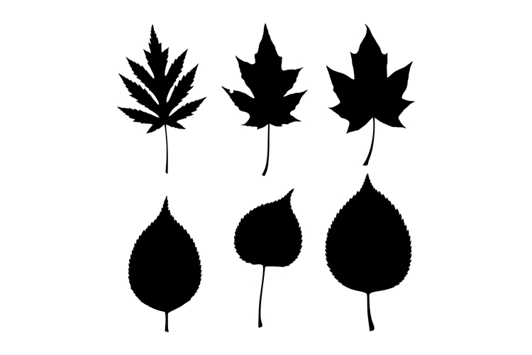 Tree Clipart Image 18