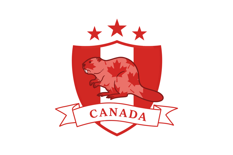 Shield Clipart Image 22